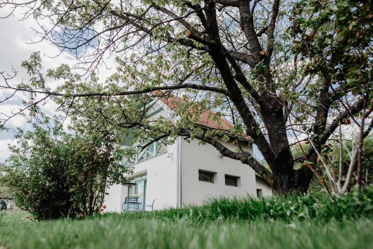 Cukormadar Vendeghaz Lovas Villa Dış mekan fotoğraf